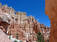 bryce canyon (86).JPG